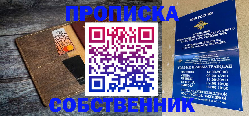 временная регистрация надежно в Электростали